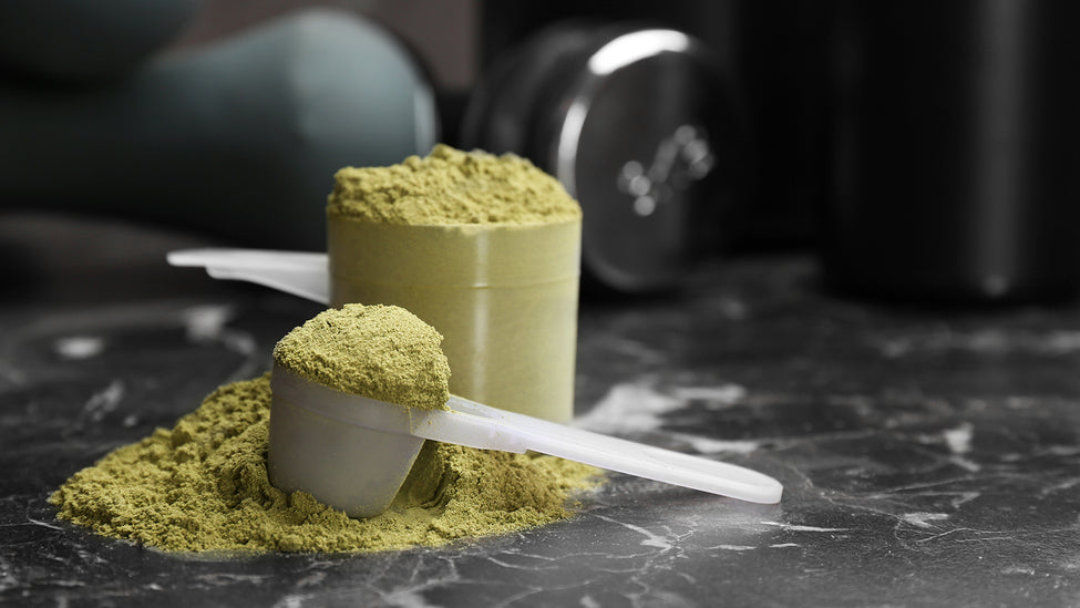 The Advantages and Benefits of Using Plant-Based Protein Powder