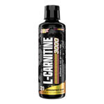 l carnitina dose diaria L-carnitine 500mg - 60 cápsulas - QNT - L-Carnitina l carnitina dose diaria L-carnitine 500mg - 60 cápsulas - QNT - L-Carnitina