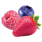 Berry Blast