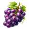 Juicy Grape